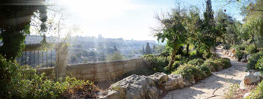 Mount of Olives